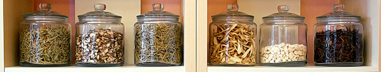 Jars of dried Chinese herbs on shelves